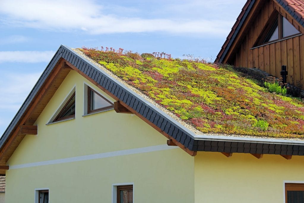 tetto-verde-costruzione-che-sfrutta-energia-solare