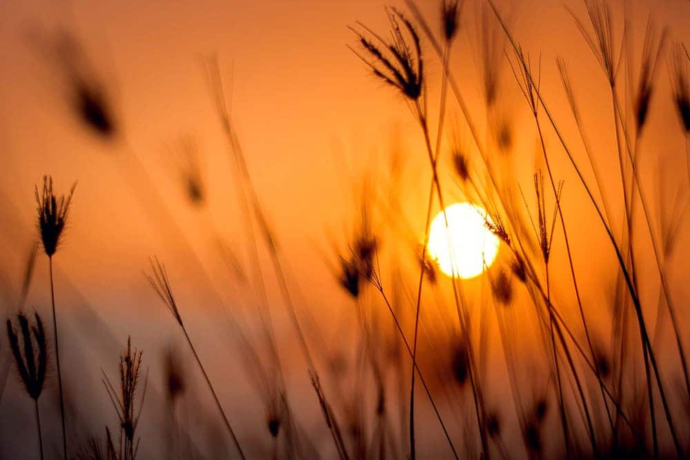 energia-solare-fonte-inesauribile-in-natura